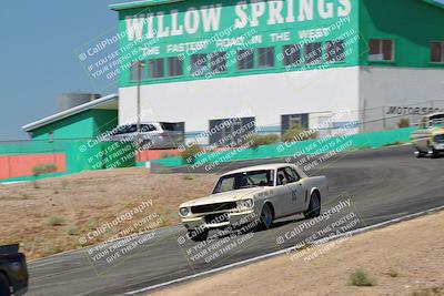 media/May-07-2022-Cobra Owners Club of America (Sat) [[e681d2ddb7]]/White/Session 1 (Turn 4)/